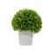 10" Boxwood Topiary in Decorative Planter